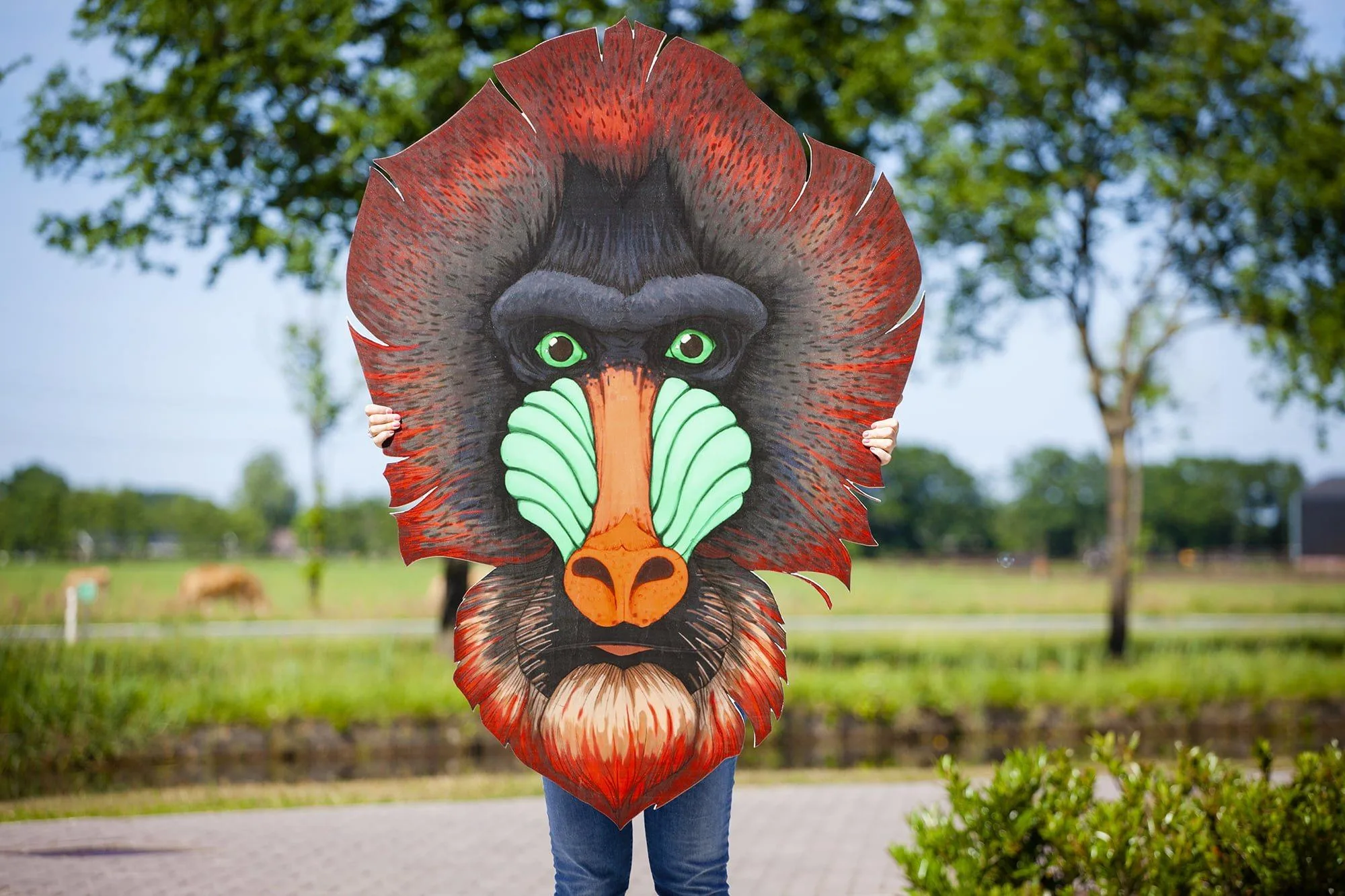 Dierenkoppen Amsterdam Open Air - foto 4