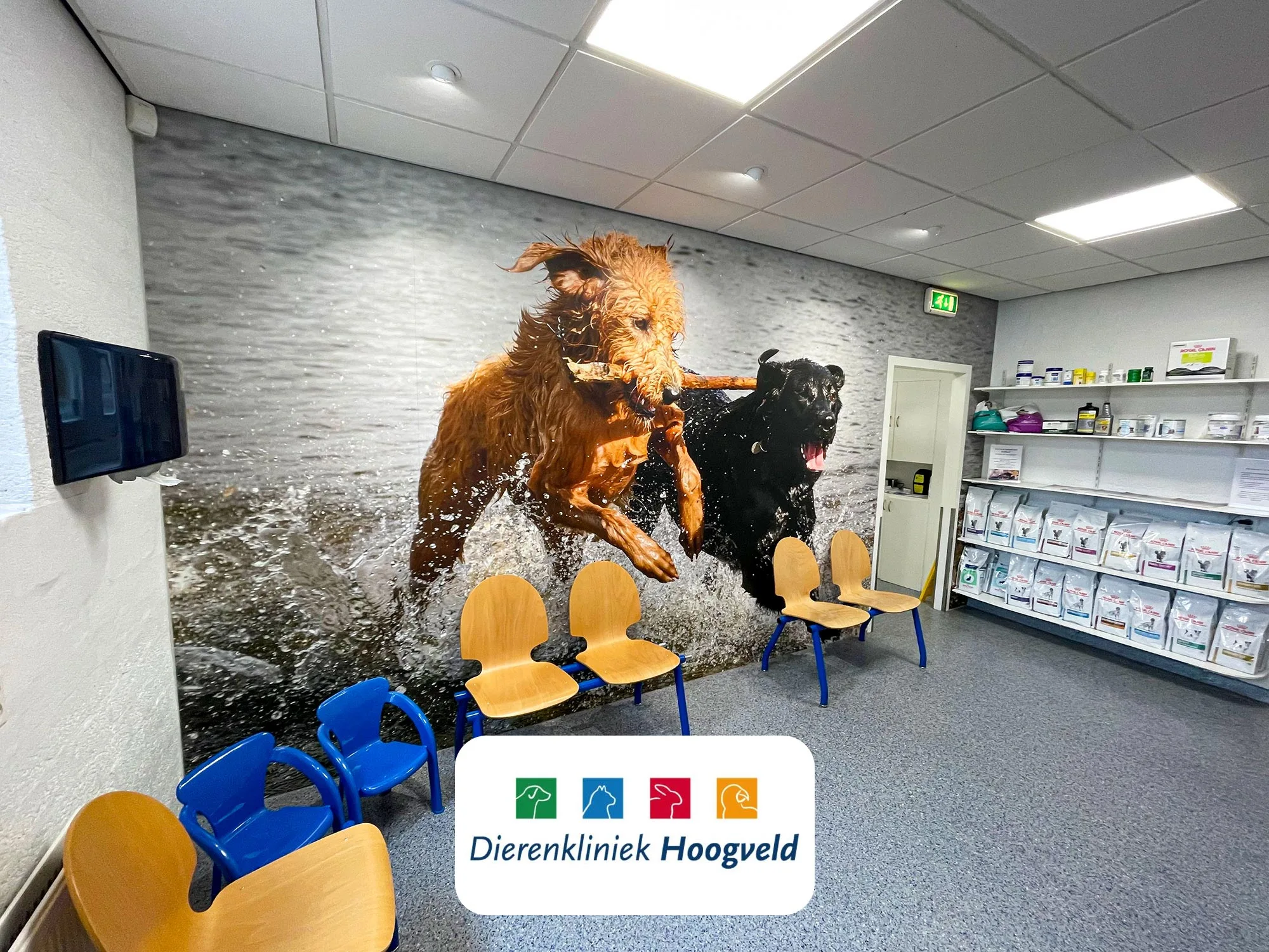 Levensgrote fotowanden in de wachtruimte van Dierenkliniek Hoogveld, bestand tegen krabben, schuren en intensieve reinig