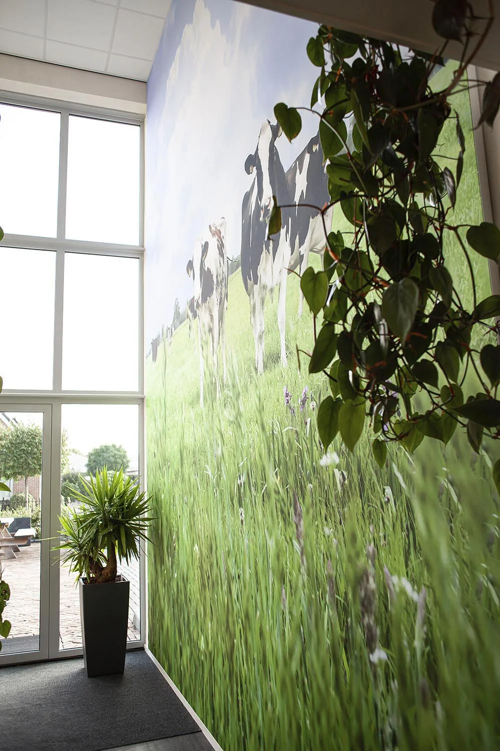 XXL wandvisual AgroNoord - foto 5