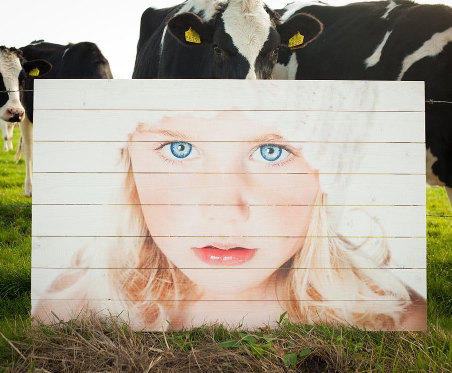 Portretfoto op whitewash vurenhout Portretfoto op whitewash vurenhout